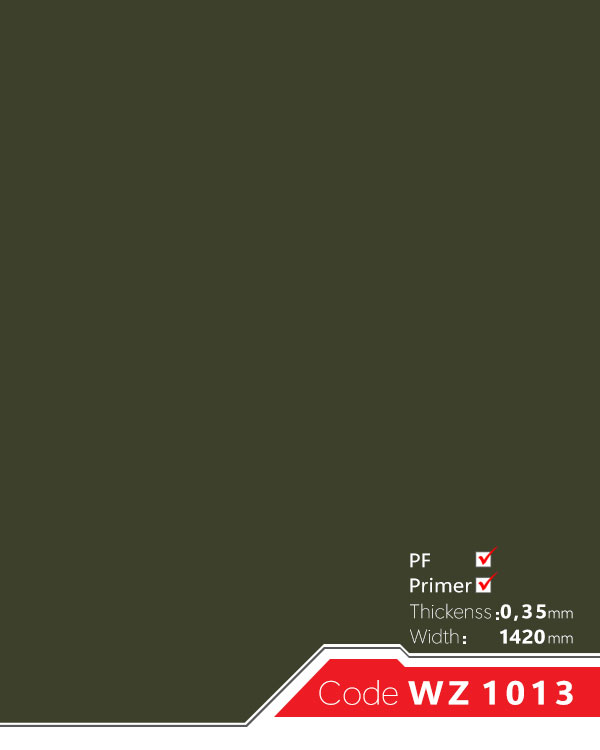 زینو؛ سوپر مات سلفون دار؛ WZ-1013PF